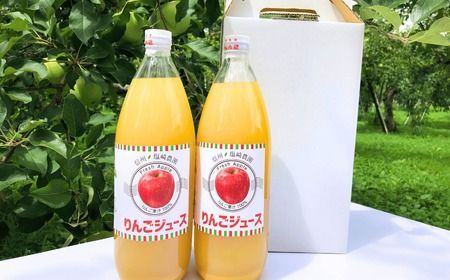 【果汁100%】りんごジュース 1L×2本 （At-001）