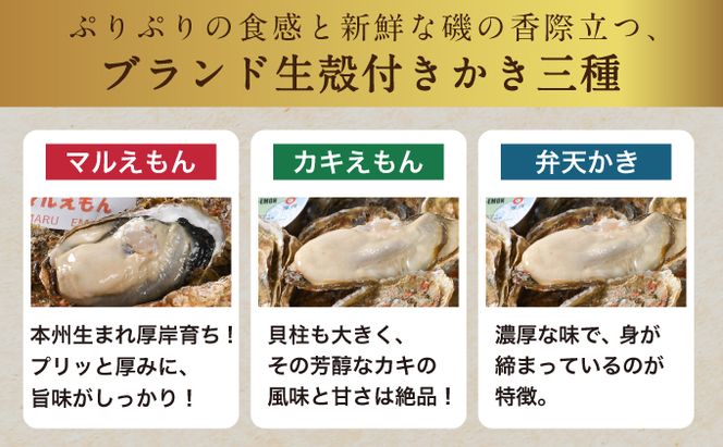 北海道厚岸産【殻かき三種】食べ比べ セット 魚貝類 生牡蠣 送料無料 新鮮 濃厚 大粒 