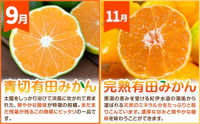 ご家庭用・訳あり わかやま旬のカンキツ定期便【S】【M】 全4回 合計11kg または 合計18.5kg 有田マルシェ《発送月固定・全4回出荷》和歌山県 日高町 フルーツ 果物 柑橘 ご家庭用 訳あり 有田みかん 清見オレンジ カラマンダリン 完熟 青切---wsh_armstei_24_28000_91134y4---