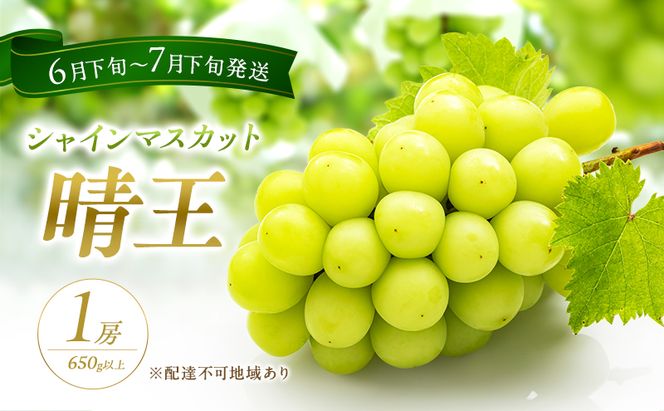 ぶどう 2026年 先行予約 シャイン マスカット 晴王 1房 650g以上 2026年6月下旬～7月下旬発送分 ブドウ 葡萄 岡山県 赤磐市産 国産 フルーツ 果物 ギフト 赤坂青空市 シャインマスカット 