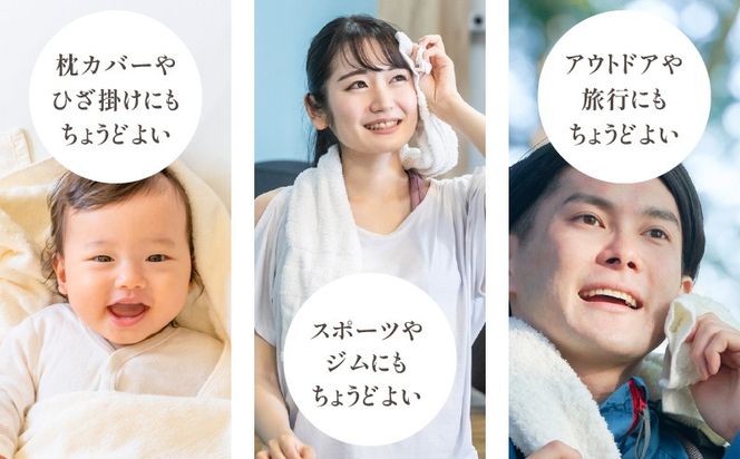 G2034 ファミーユ ミニバスタオル 6枚（ホワイト／グレー）【フェイスタオル 以上 バスタオル 未満 泉州タオル 吸水 普段使い シンプル 日用品 たおる】