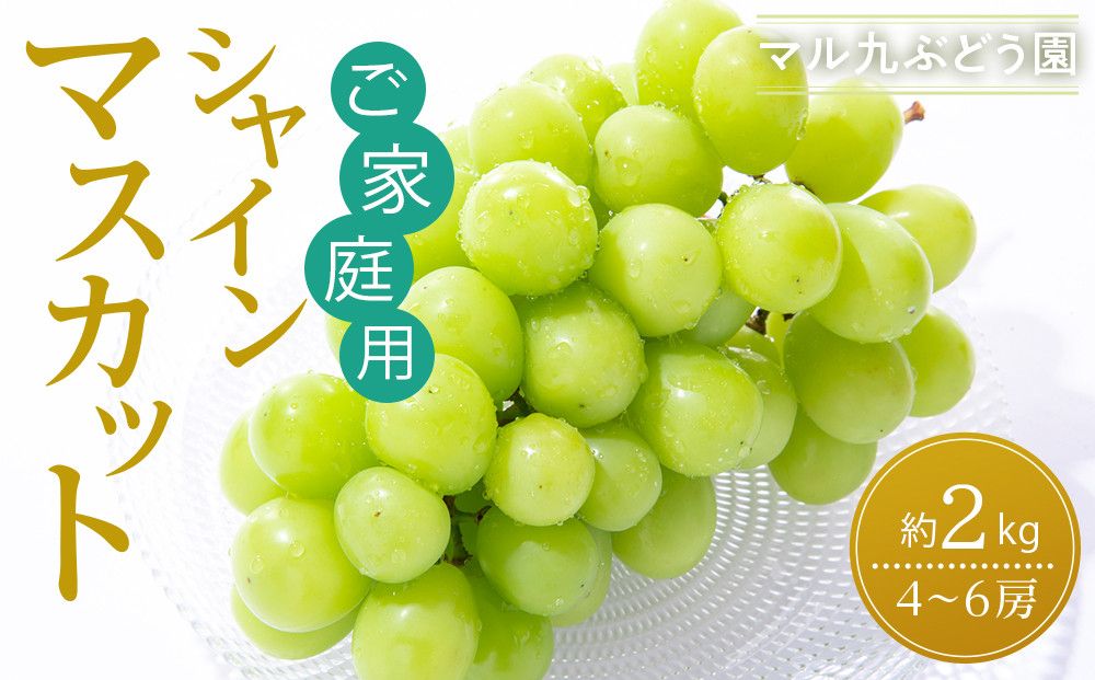 [2026年度_先行予約][ご家庭用]シャインマスカット 約2kg〔2026年8月中旬より順次発送〕 232238_CR06