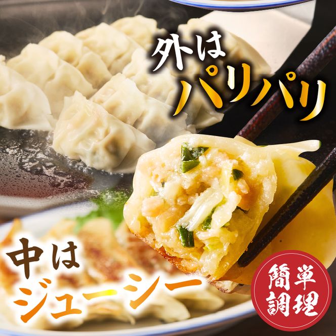 【味仙八事店】餃子30個セット(冷凍） ［061A11］ 餃子 30個セット 540g 味仙 味仙八事店 名古屋名物 冷凍 ご家庭 本格的 お取り寄せ おかず 夕食 おつまみ ご飯のお供 中華 ご当地グルメ 簡単調理 時短 焼き餃子 ジューシー もちもち 家族向け 愛知県 小牧市 送料無料