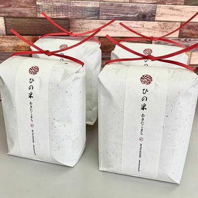 米 お米 《定期便》8kg×6ヶ月 秋田県産 あきたこまち 玄米 2kg×4袋 神宿る里の米「ひの米」（お米 小分け）