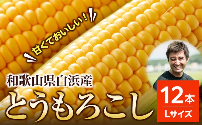 ［先行予約］しらはま農家 とうもろこし Lサイズ 12本 ［2026年6月発送予定］ 304018_DK05
