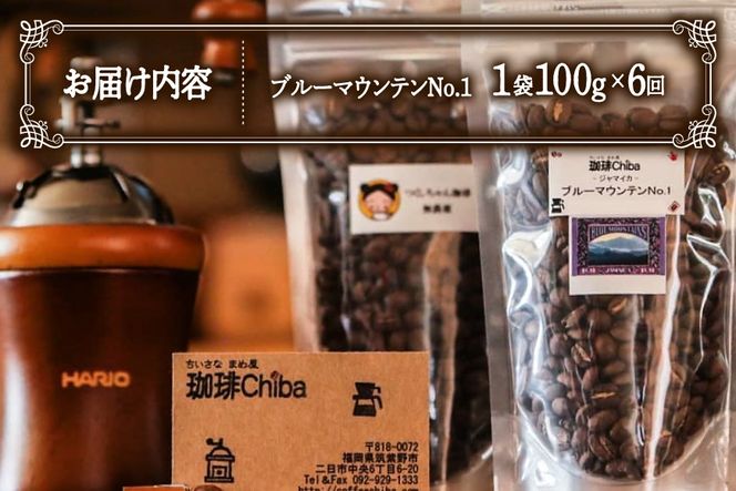 【6回定期便】 コーヒー豆 ブルーマウンテン 100g [珈琲Chiba 福岡県 筑紫野市 21761427] コーヒー 珈琲 豆 珈琲豆 セット ブルーマウンテンNo.1 ブルマン 豆のまま おいしい coffee bean beans 定期 定期便 6ヶ月 6回