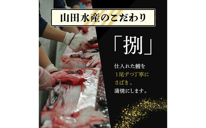 八本木樽鰻2尾＆お茶セット うなぎ蒲焼(156g以上×2尾)＆煎茶さがの(100g) a5-330