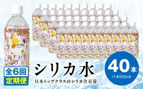 099Z363 【定期便】ALOHAS シリカ水 合計20L (500ml×40本入り)×全6回