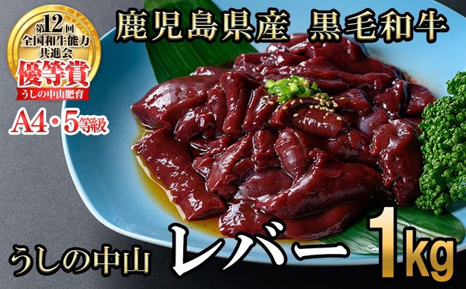 うしの中山 A4・A5等級黒毛和牛 レバー 計1kg（500g×2P）a5-346