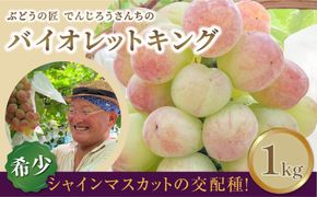 【 先行予約】 バイオレットキング 約1kg 冷蔵 高級 種無し 種なし シャインマスカット ブドウ ぶどう 品種 果物 フルーツ 甘い 巨峰 美味しい 希少 人気 ランキング おすすめ 福島県 福島 ふくしま 田村市 鈴木農園 でんじろうさん