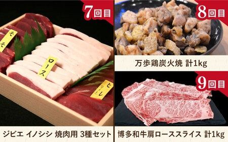 【全12回定期便】肉のお楽しみ定期便 食べ比べ セット （ 博多和牛 糸島和牛 糸島豚 はかた地どり イノシシ ウインナー シャトーブリアン ステーキ ハム ソーセージ ハンバーグ ） [AAH009]