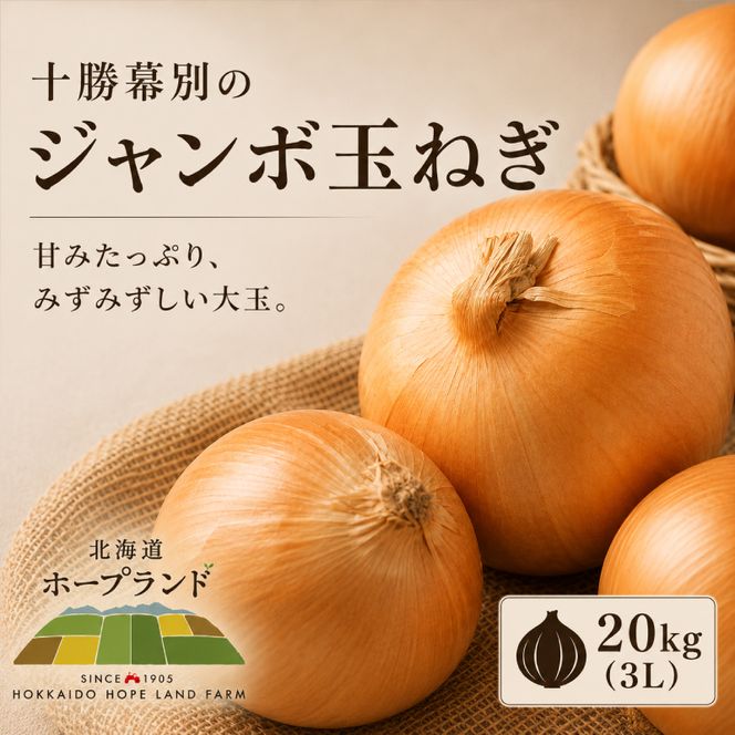 【先行予約】十勝幕別のジャンボ玉ねぎ20kg（3L）【北海道ホープランド農場】 野菜 たまねぎ
