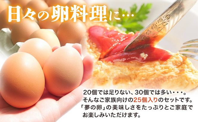 卵 たまご 6ヶ月 定期便 赤玉 夢の卵 ファミリー 50個 計300個《お申込み月翌月から出荷開始》株式会社めぐみ 岡山県 浅口市 送料無料 25個 × 2セット たっぷり 家族 食卓---124_81tei_23_93000_mo6num1_s---