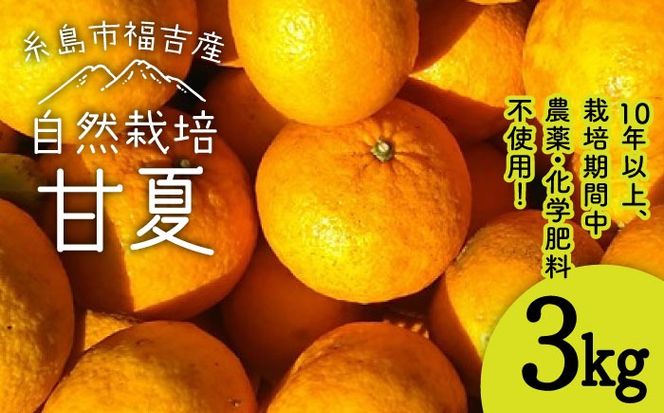 yszystzÉ 3kg y2026N3{ȍ~zy͔|Ԓ_Ew엿sgpz s / ΃t@[ [ATE043]