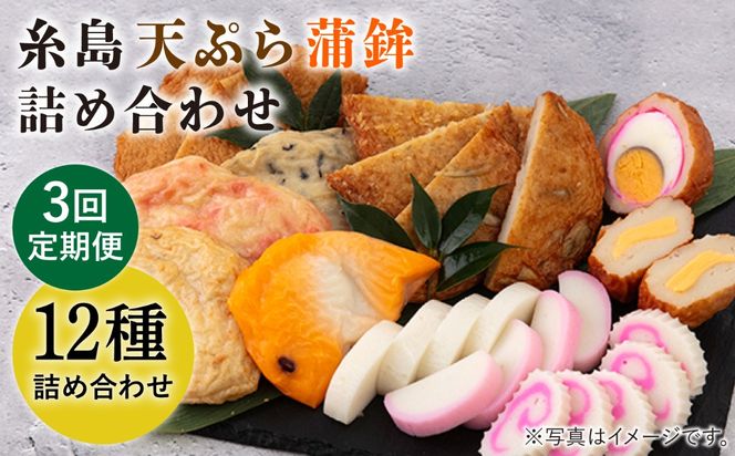 【全3回 定期便 】天ぷら 蒲鉾 詰め合わせ (12種17点) Aセット 糸島市 / 村島蒲鉾店 惣菜 かまぼこ [AHH003] 蒲鉾 天ぷら 鯛蒲鉾 板蒲鉾 紅白 祝い イカ天 海鮮天 紅