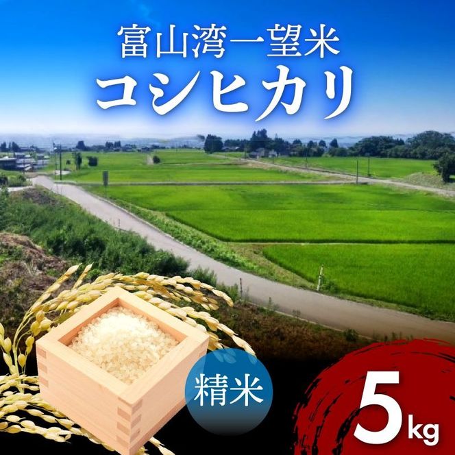【先行予約】新米 富山湾一望米　コシヒカリ 精米 【容量5kg】【2025年10月より順次発送】