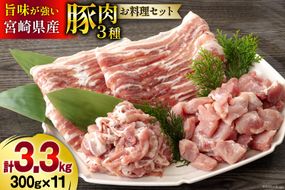 豚肉 小分け お料理セット 真空包装 合計3.3kg [甲斐精肉店 宮崎県 美郷町 31as0097] 豚バラ スライス うで 腕 切り落とし カット 冷凍 宮崎県産 豚 切落し うす切り 薄切り 詰め合わせ