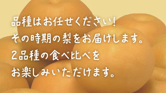 【食べ比べ】 梨 2品種 合計 約5kg 【2026年8月上旬発送開始】 (茨城県共通返礼品：大子町) なし 果物 くだもの フルーツ おまかせ 旬