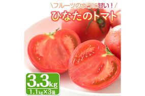 ＜先行予約受付中！2027年1～5月の間に発送予定＞ひなたのとまと(計3.3kg・1.1kg×3箱)トマト フルーツトマト 糖度 9度 以上 野菜 旬野菜 冷蔵 門川町産【A-5】【新門トマト農園】