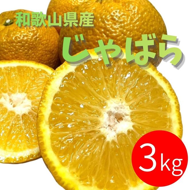 じゃばら 3kg (17～26玉) DJ053