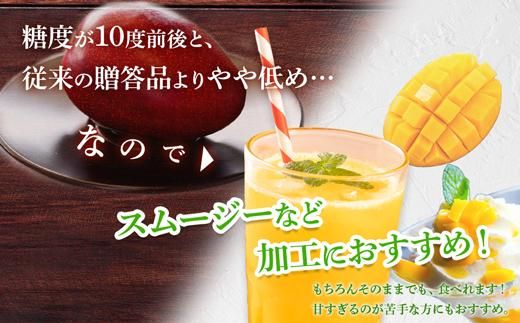 【訳あり】 1.5kg 大崎完熟マンゴー「郷の恵（さとのめぐみ）」加工用マンゴー（糖度10度前後） 464686_BD008