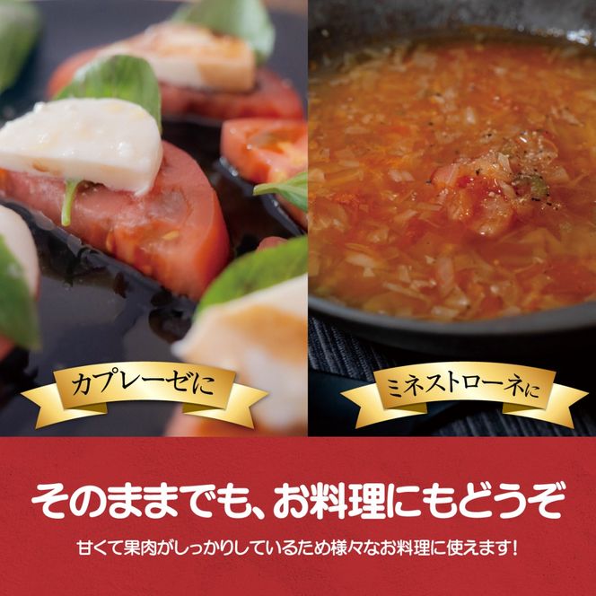 【先行予約/2026年6月以降発送】【家庭用】ニシパの恋人「びらとりトマト」秀品 1箱 約4kg（20～24個 満詰め） BRTO001