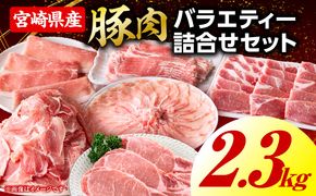 豚肉バラエティー詰合せセット【2.3kg】2026年6月発送予定