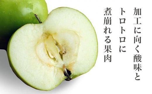 【訳あり】 ブラムリー 約3kg ［新規就農者応援コース 幸作会］フルーツ 果物 リンゴ りんご 林檎 クッキング アップル 長野県産 令和7年産【2025年8月末から順次発送】 ［KH-52］