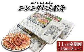 【11ヶ月定期便】ゆきむら壱番亭のニンニクにら餃子3パック(48個入り) ※離島への配送不可