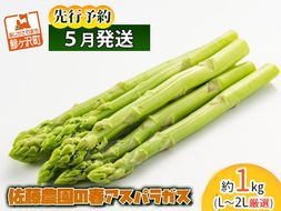 アスパラガス 先行予約 2026年 春アスパラガス 約1kg L～2L 厳選 佐藤農園 アスパラ グリーンアスパラ 野菜 春野菜 春 旬 旬の野菜 朝どれ 産地直送 青森 青森県 鰺ヶ沢町 冷蔵 冷蔵配送 5月 6月発送