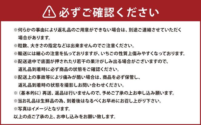 春のあまおう（2L・2A・G規格以上 約250-270g×6パック）【数量限定】 いちご 苺 あまおう 果物 くだもの フルーツ 肉厚 ジューシー 福岡県産 【2025年3月上旬～4月下旬発送予定】