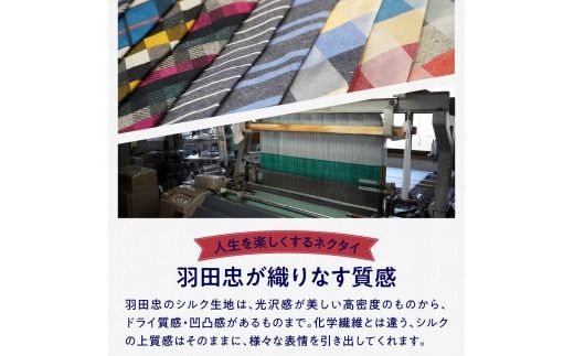 HADACHU シルクネクタイ NTM128 ネクタイ 高級ネクタイ ファッション プレゼント シルクネクタイ 山梨 富士吉田