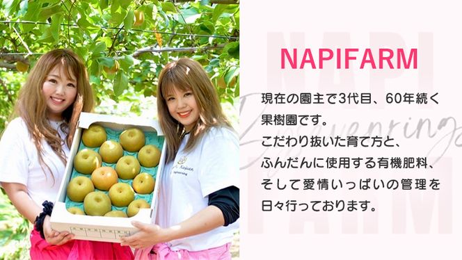 【 先行予約 】 品種おまかせ 採れたて 完熟天使の 甘梨 約 5kg （ 茨城県共通返礼品： かすみがうら市 ） 【 2026年8月中旬頃発送 】 フルーツ 果物 なし ナシ 旬 新鮮 旬 期間限定 甘い 国産