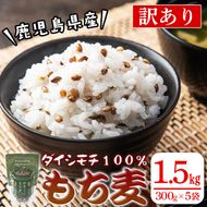 isa256 鹿児島県伊佐市産もち麦！＜ダイシモチ＞(計1.5kg・300g×5袋) ふるさと納税 伊佐市 特産品 国産 九州産 訳あり 麦 ごはん 穀類 お米 ヘルシー 腸活 食物繊維 【社会福祉法人ひまわり福祉会】