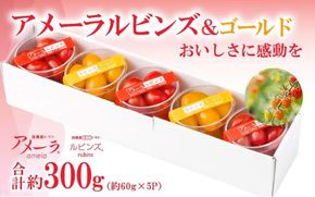 B51アメーラルビンズ＆ルビンズゴールド　5パック入り