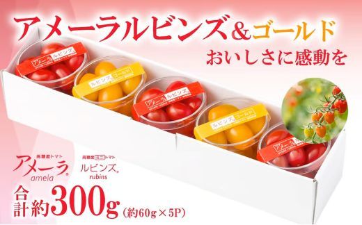 yÉxSRzB51A[rYrYS[h@5pbN