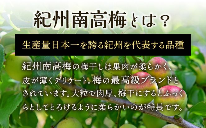 紀州南高梅使用 2種食べ比べ はちみつ うす塩味 完熟梅干し・しそ仕込み完熟梅干し 無選別 各約800g ［TM213］ 303446_XH92266