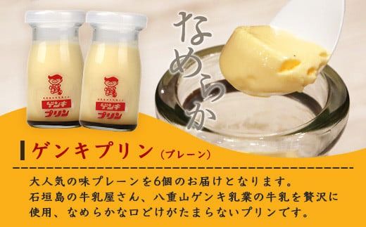 ゲンキプリン 6個 【プレーン 八重山ゲンキ乳業 お土産 観光 ゲンキくん ゲンキみるく 石垣島の牛乳屋さんのプリン】OP-1【島外不出のゲンキくん製品が返礼品に!!】【大人気の「ゲンキくん保冷バッグ」もお届け】