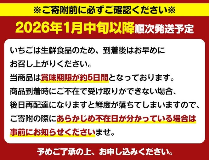 ＜先行予約受付中！2026年1月中旬以降順次発送予定＞鹿児島県産いちご(さがほのか「秀大」・計約1.4kg・40粒×2箱) 鹿児島 阿久根 果物 フルーツ イチゴ いちご 苺 さがほのか デザート おやつ 期間限定【鹿児島いずみ農業協同組合】akn018-21