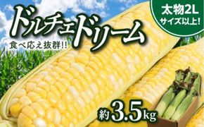 食べ応え抜群 太物2Lサイズ以上!ドルチェドリーム 約3.5kg【2027-6月上旬～2027-7月上旬配送】 372013_T006-305J