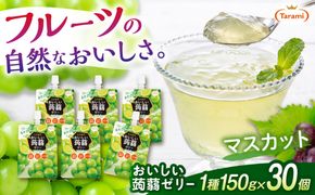 【マスカット】たらみ おいしい蒟蒻ゼリー   150g 30個セット 糸島市 / たらみ [ALN009-3]