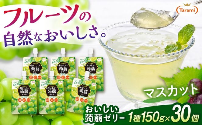 【マスカット】たらみ おいしい蒟蒻ゼリー   150g 30個セット 糸島市 / たらみ [ALN009-3]