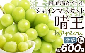 ぶどう [2025年先行予約] シャインマスカット 晴王 600g《2025年9月中旬-11月上旬頃出荷》ハレノスイーツ 岡山中央卸売市場店 マスカット 送料無料 岡山県 浅口市 フルーツ 果物 贈り物 ギフト 国産 【配送不可地域あり】---124_c906_9c11j_24_20000_600---