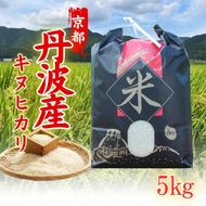 令和6年産 キヌヒカリ 5kg 米 白米 精米 お米 こめ コメ きぬひかり 令和6年 ご飯 ごはん 京都 京都府 南丹市