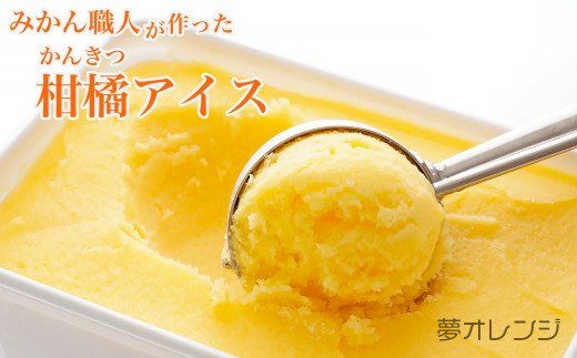 みかん職人が作った柑橘アイス1000ml×2種（夢オレンジ・河内晩柑）