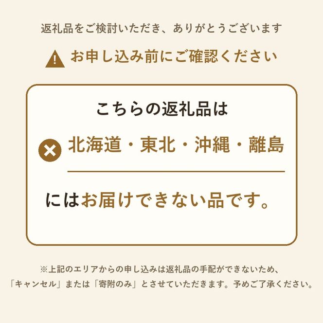 オリーブ 苗木 オリーブの木 2本 セット 高さ45cm前後 小豆島産 小豆島 2品種 異なる品種 受粉 実がなる 果樹 観葉植物 シンボルツリー 庭木 植木 鉢植え 地植え ガーデニング インテリア 記念樹 新築祝い 引越し祝い 贈り物 ギフト 香川県 土庄町