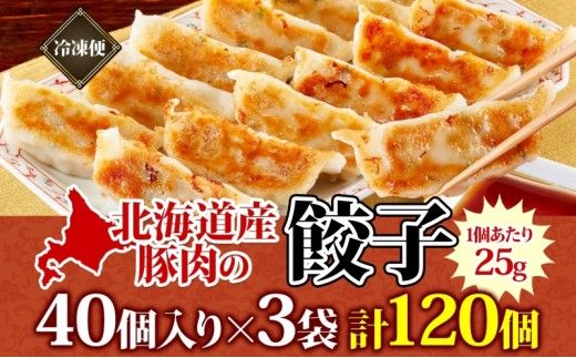 【大容量】北海道産豚肉のぎょうざ 120個!冷凍餃子 ギョーザ 国産 焼餃子 点心 滝川市 冷凍食品