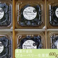 【先行予約】＜すだ農園＞栽培期間中農薬不使用 朝摘み ブルーベリー 生果実 600g◇ ｜ 果実 新鮮フルーツ ※北海道・沖縄・離島への発送不可 ※2025年7月上旬～8月中旬頃に順次発送予定