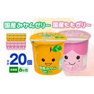 【6ヶ月定期便】愛知ヨーク　国産みかんゼリー・国産ももゼリー　20個入［108A16-T］ゼリー みかんゼリー ももゼリー 20個入 愛知ヨーク定期便 みかん もも 果物 フルーツ カップゼリー