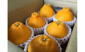 ZE6112n_有田の不知火(しらぬひ)　6玉× 3箱（L～2Lサイズ）まごころ手選別